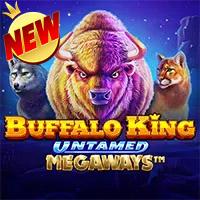 Buffalo King